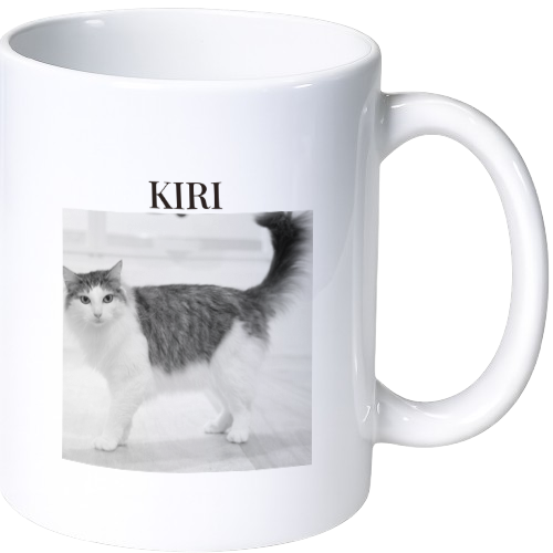 main