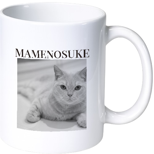 マメノスケ マグカップ（陶磁器）