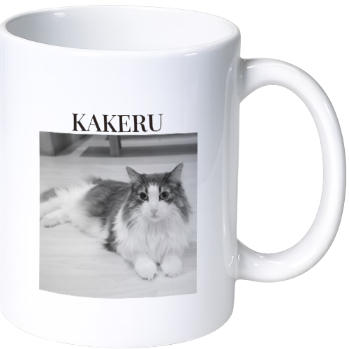 main