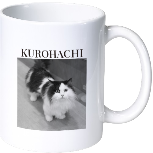 クロハチ マグカップ(陶磁器)
