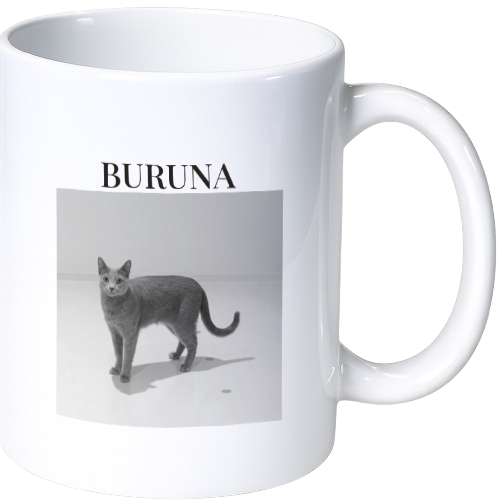 ブルーナ マグカップ（陶磁器）