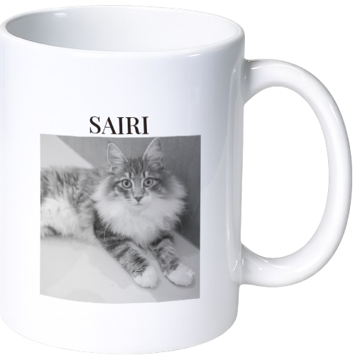 サイリ マグカップ（陶磁器）