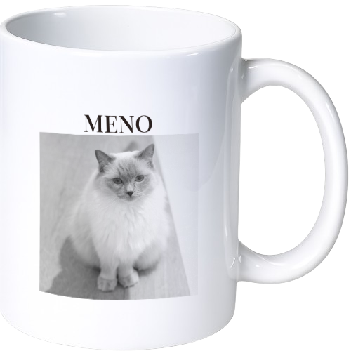 main