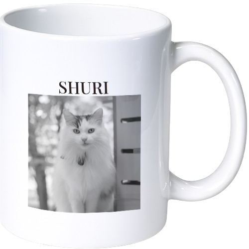 シュリ マグカップ（陶磁器）