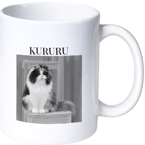 クルル マグカップ（陶磁器）