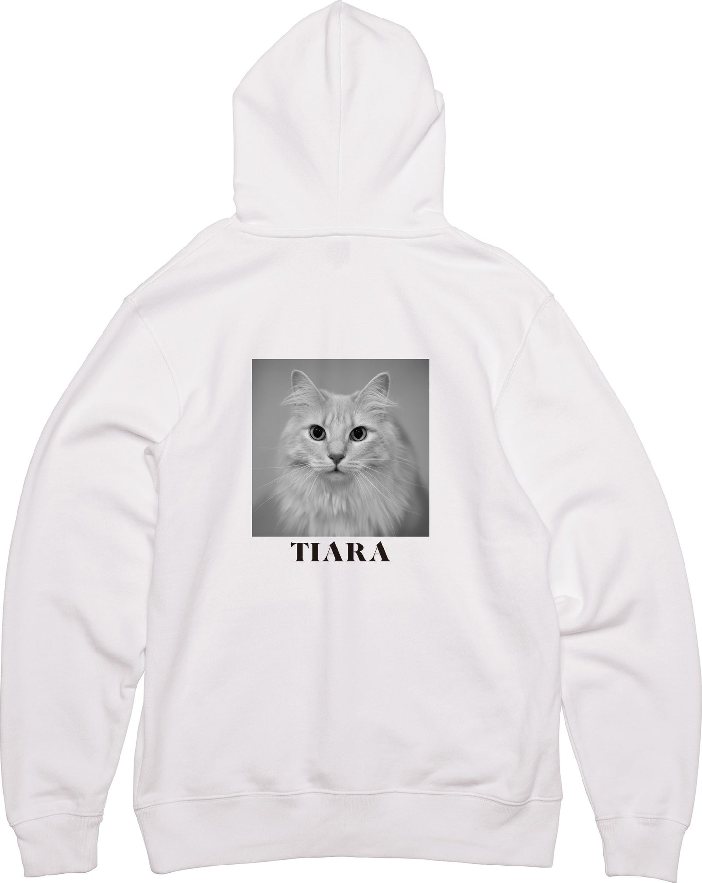 main