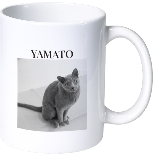 ヤマト マグカップ（陶磁器）