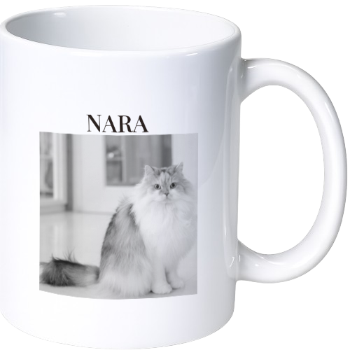 ナラ マグカップ（陶磁器）