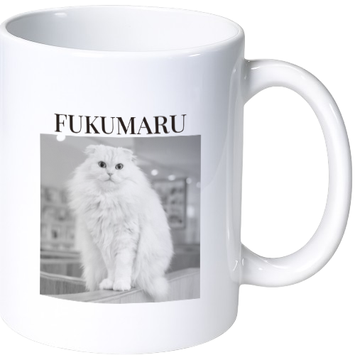フクマル マグカップ（陶磁器）