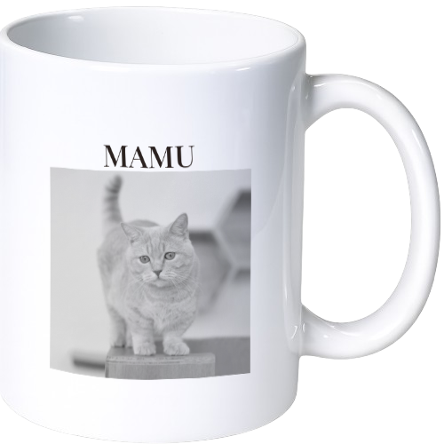 マム マグカップ（陶磁器）
