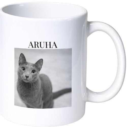 アルハ マグカップ（陶磁器）