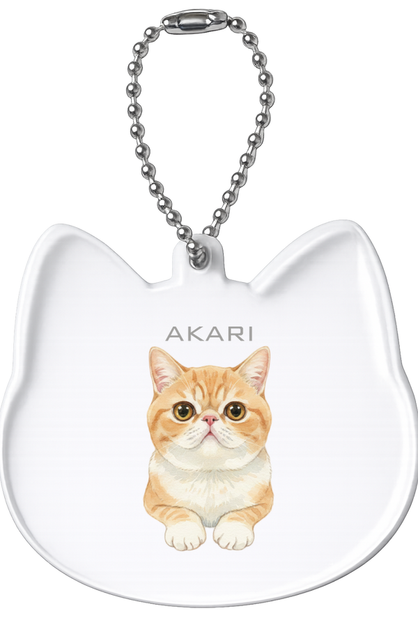 燈 猫型アクリルホルダー