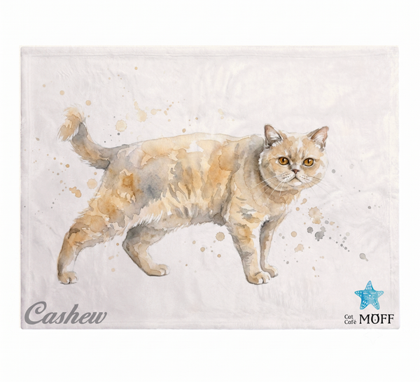 カシュー ふわふわブランケット（M）