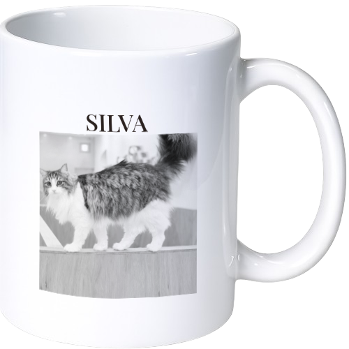 シルヴァ マグカップ（陶磁器）
