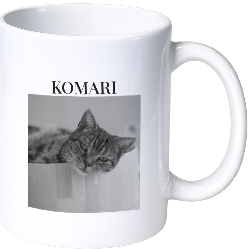 コマリ マグカップ（陶磁器）
