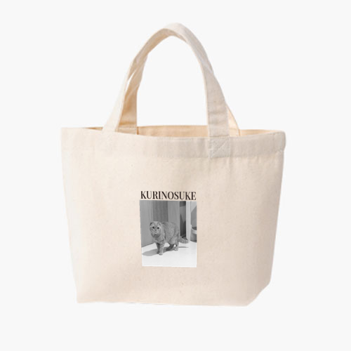 クリノスケ ライトキャンバストート(S)