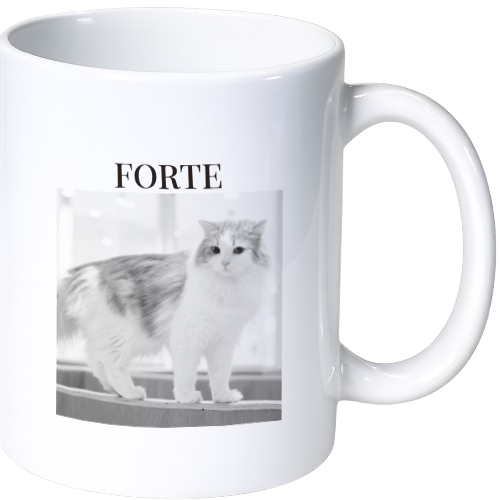 フォルテ マグカップ(陶磁器)