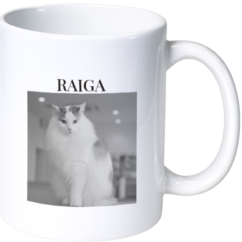 ライガ マグカップ（陶磁器）
