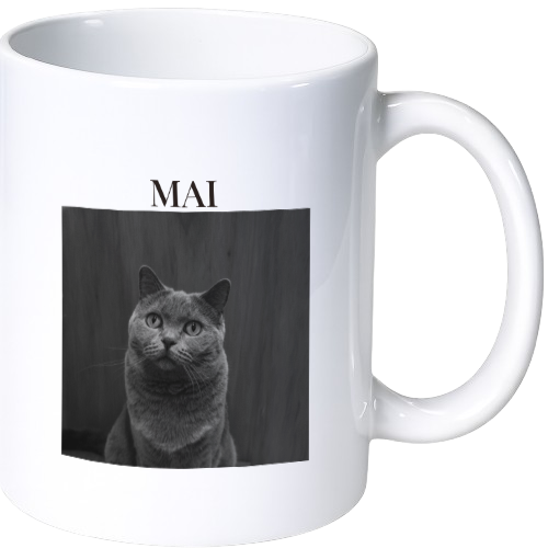 マイ マグカップ（陶磁器）
