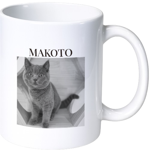 諒 マグカップ