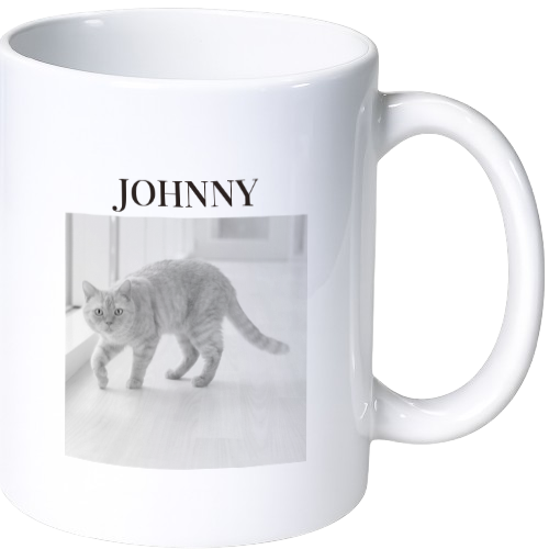 ジョニー マグカップ（陶磁器）