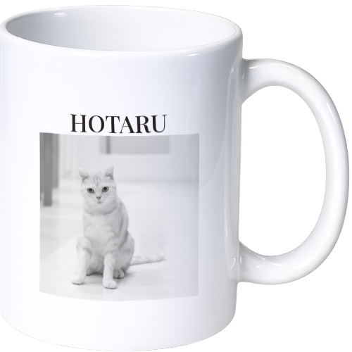 ホタル マグカップ（陶磁器）