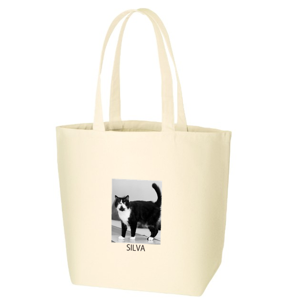 シルバ キャンバスデイリートート（L）