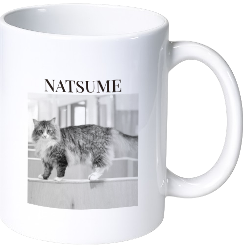 ナツメ マグカップ（陶磁器）