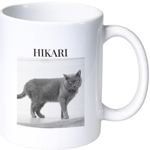 ヒカリ マグカップ（陶磁器）
