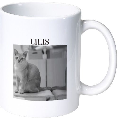 リリス マグカップ（陶磁器）