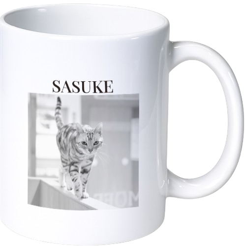 サスケ マグカップ（陶磁器）