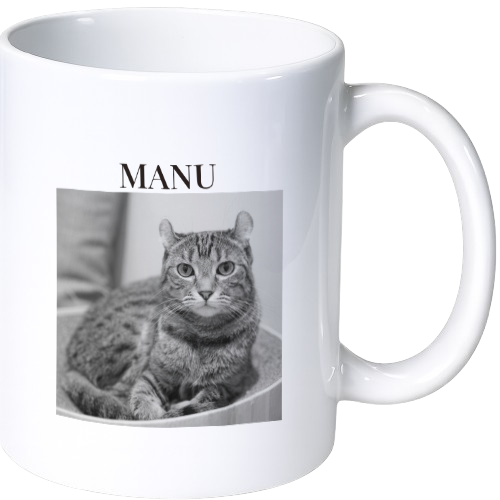 main