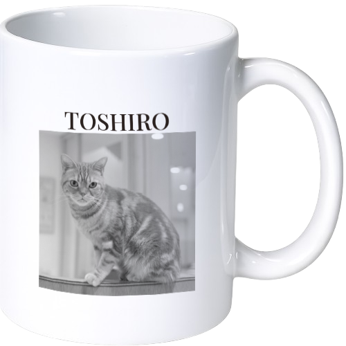 トシロウ マグカップ（陶磁器）