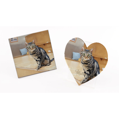 main