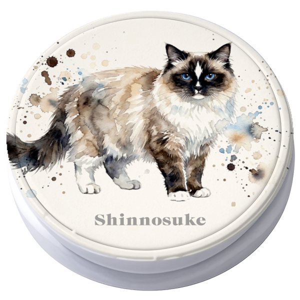 シンノスケ スマホソケット