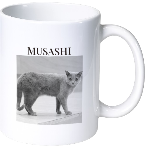 ムサシ マグカップ（陶磁器）