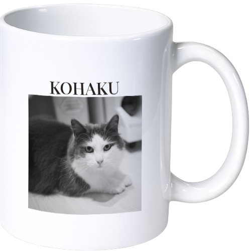 コハク マグカップ（陶磁器）