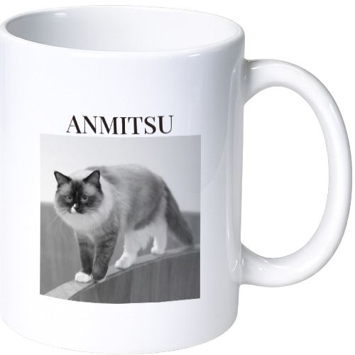 アンミツ マグカップ（陶磁器）