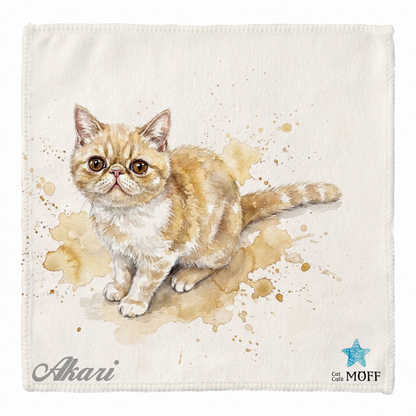 main