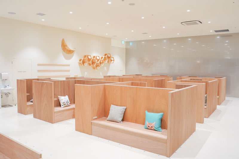 モラージュ菖蒲店