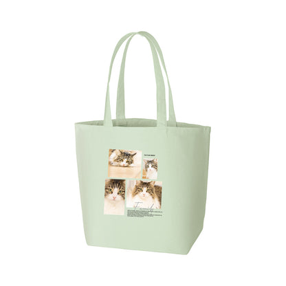 オリーブ