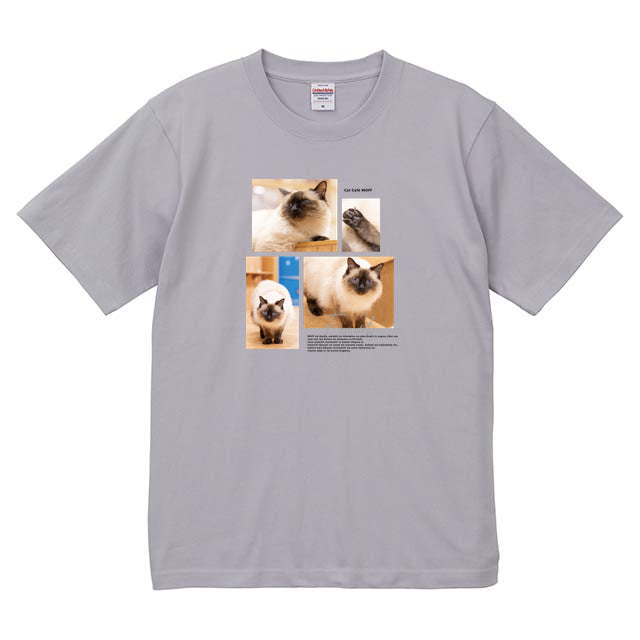 フロストパープル