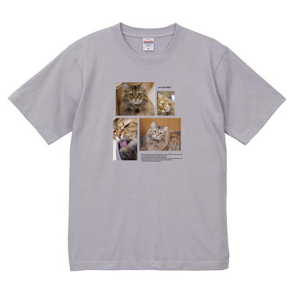 フロストパープル