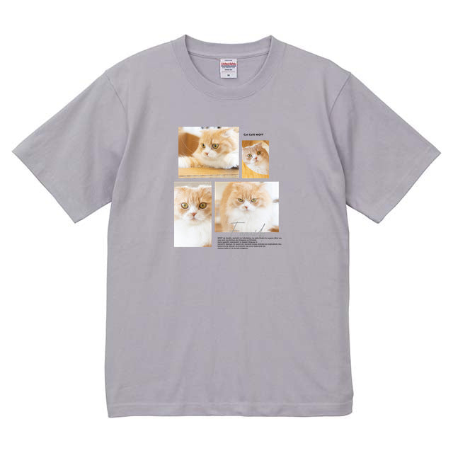フロストパープル