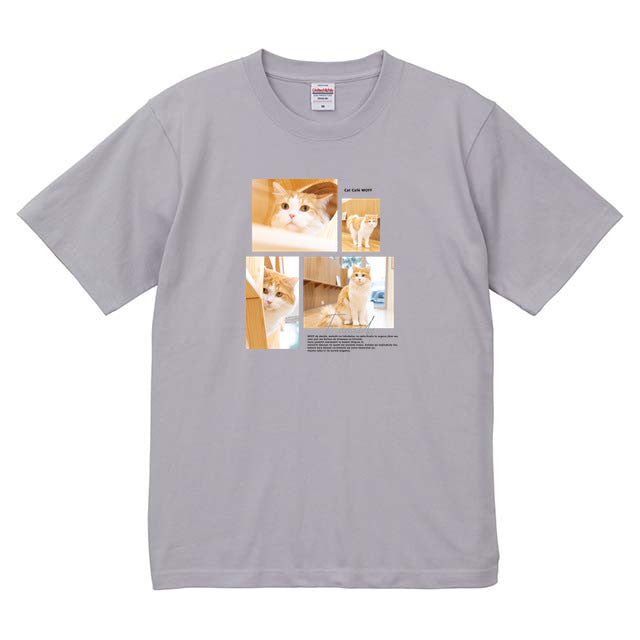 フロストパープル
