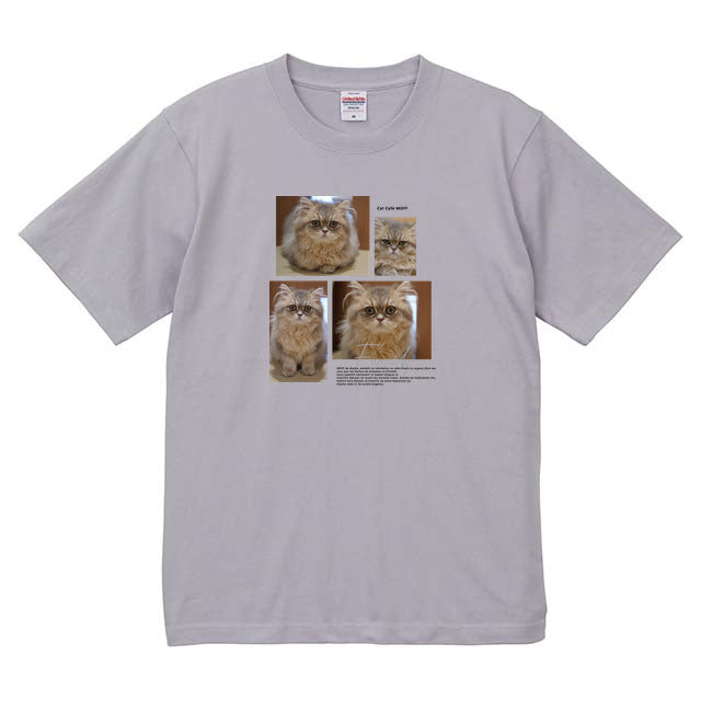 フロストパープル