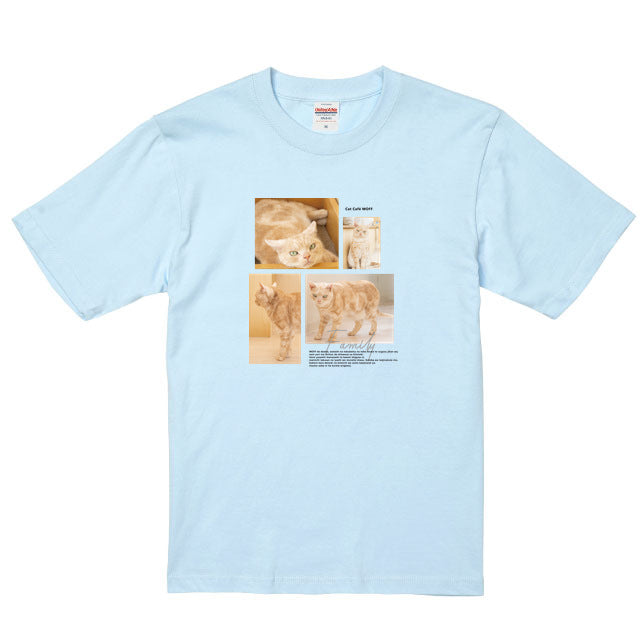 ライトブルー