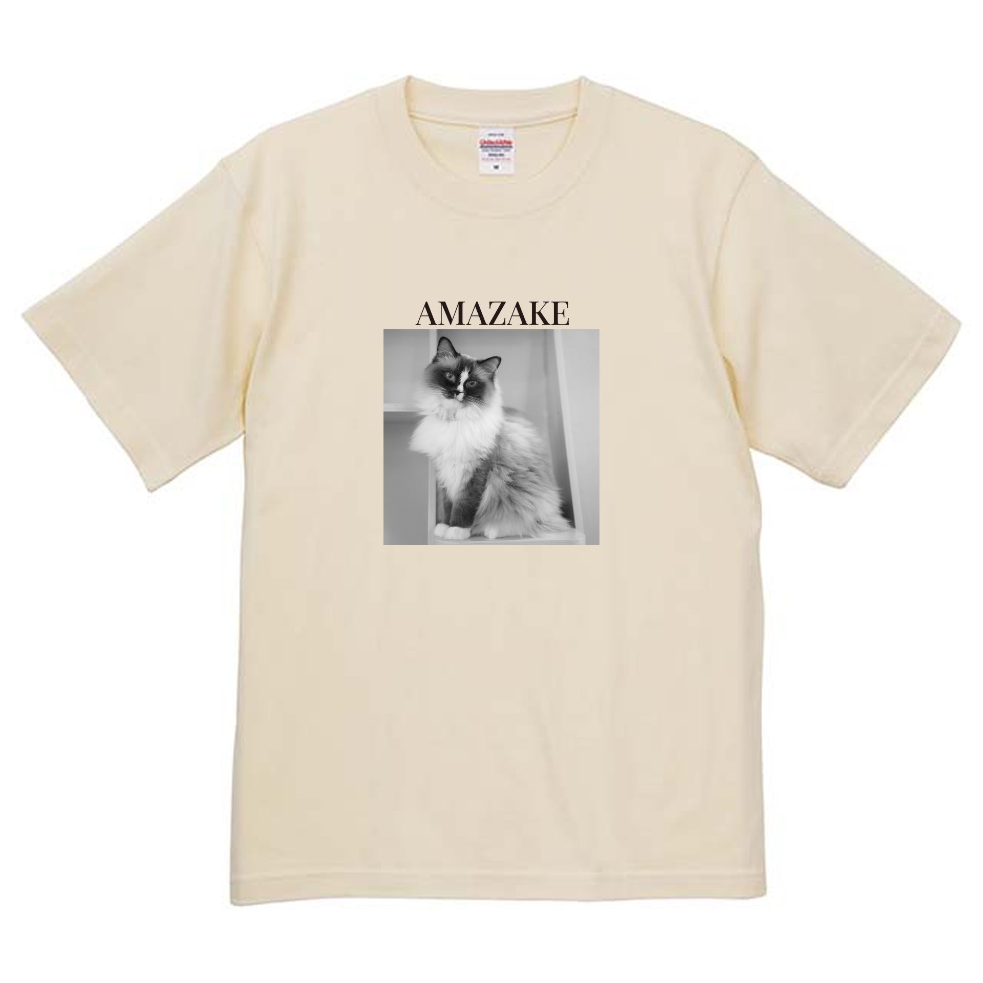 019