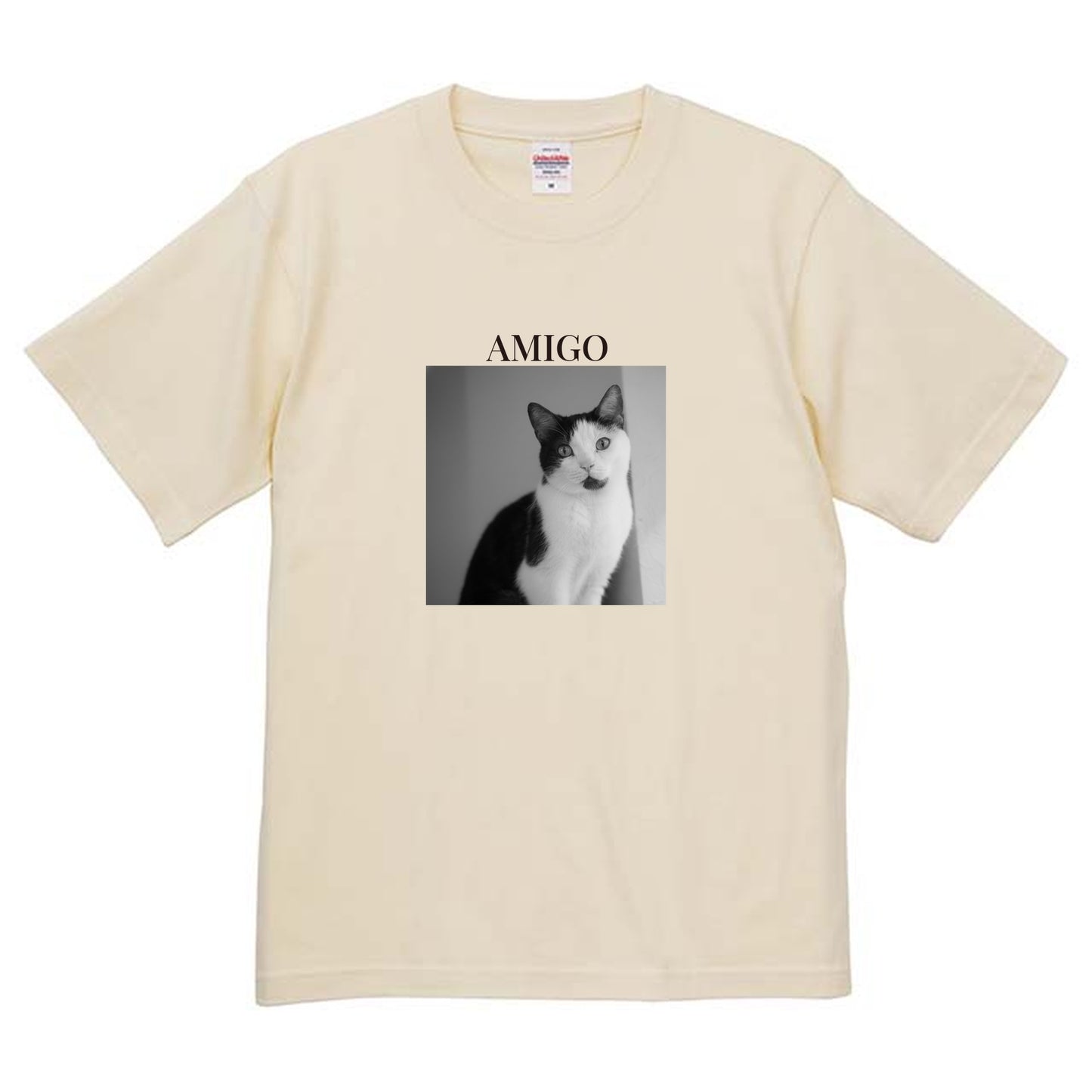 019