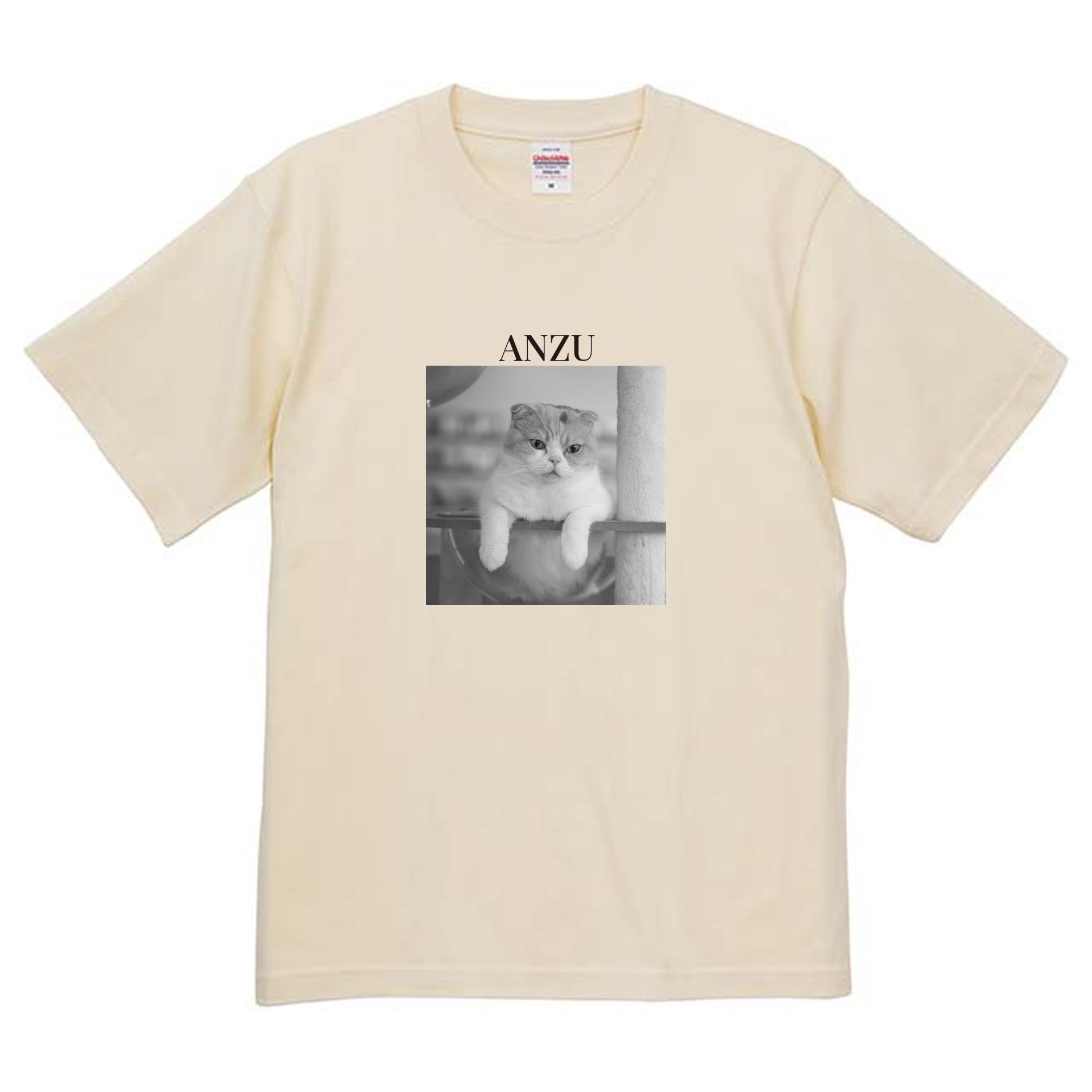 019